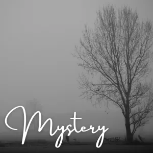 Mystery
