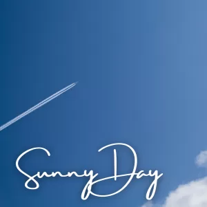 Sunny Day