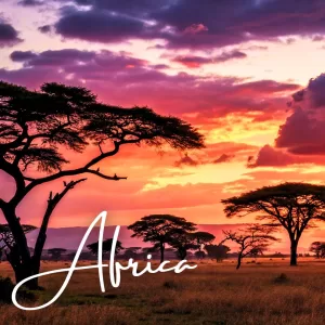 Africa